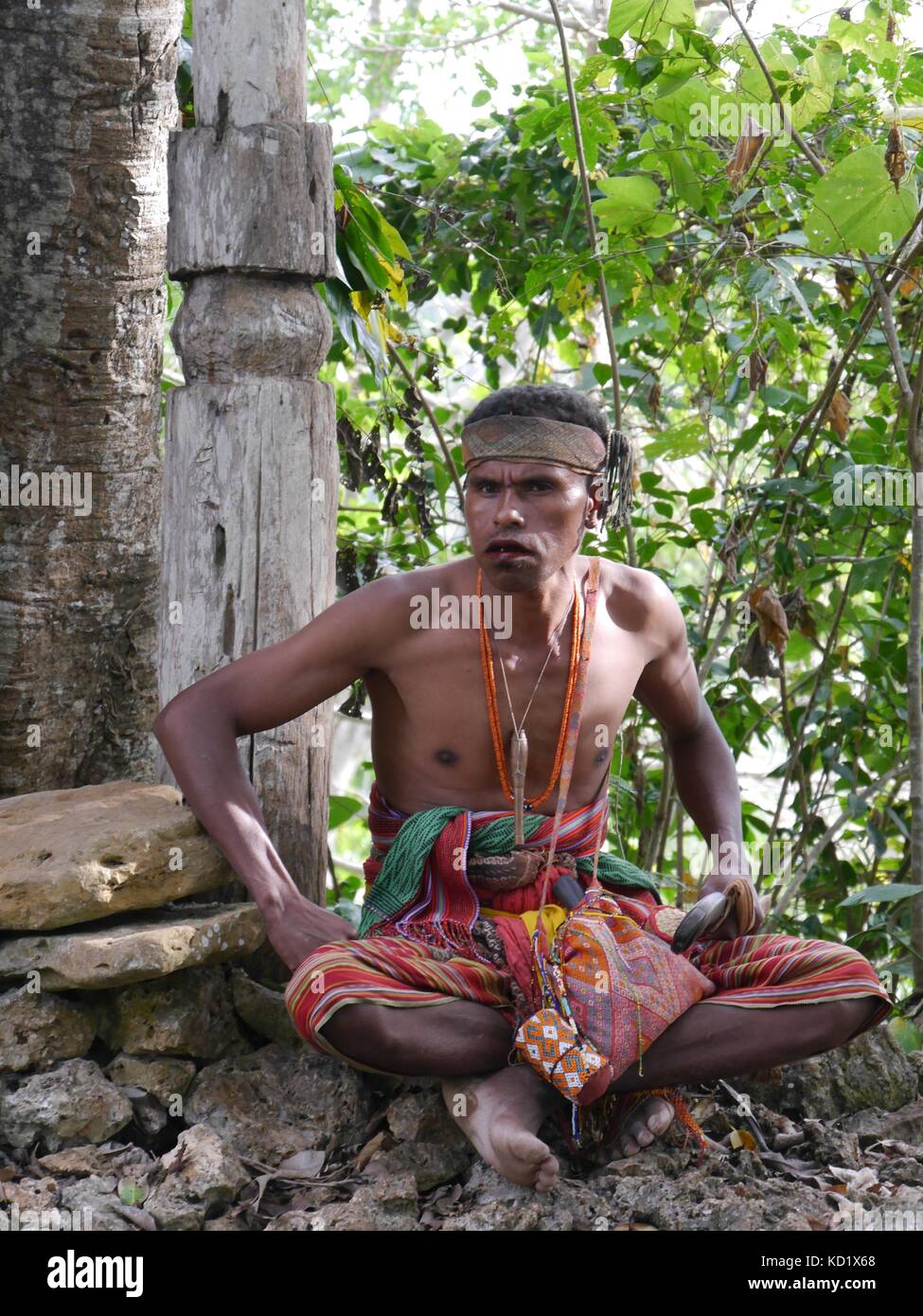 Tribesman of former headhunting None tribe, West Timor, Indonesia in  hand-woven ikat clothes with betel nut holders sitting under sacred banyan tree Stock Photo