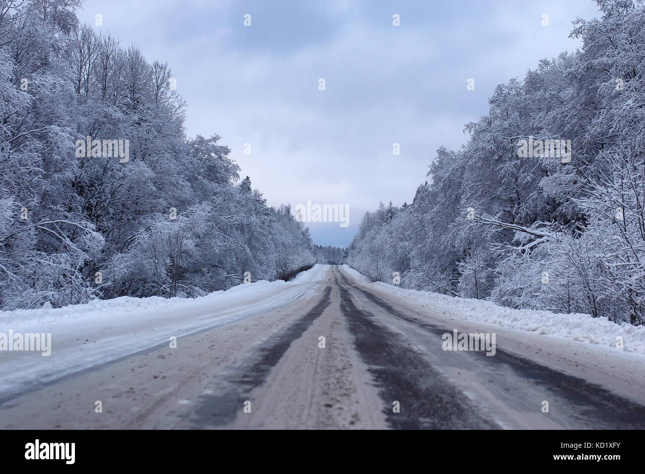 landscape Road in the winter forest with snow covered Stock Photo - Alamy