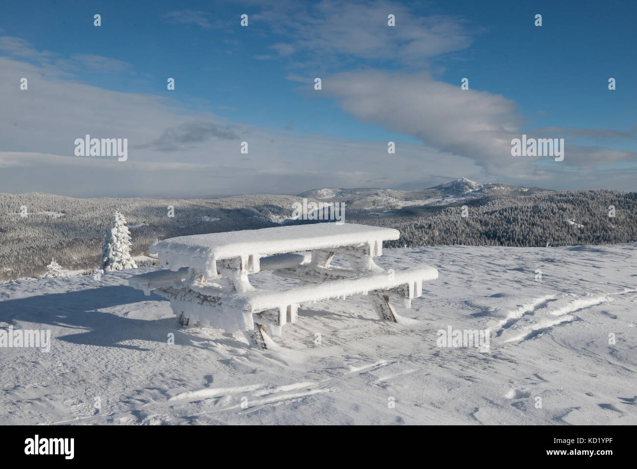 Bench frozen over with ice, Mont-Rond, Jura, Ain Rhone-Alpes, France Stock Photo
