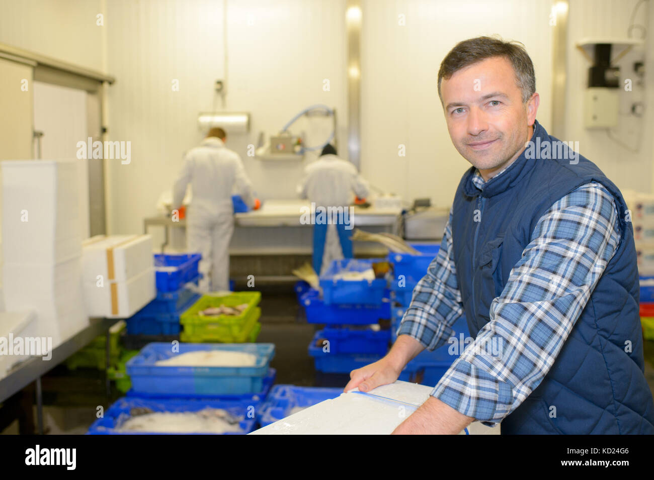 Worker in fish processing plant Stock Photo Alamy