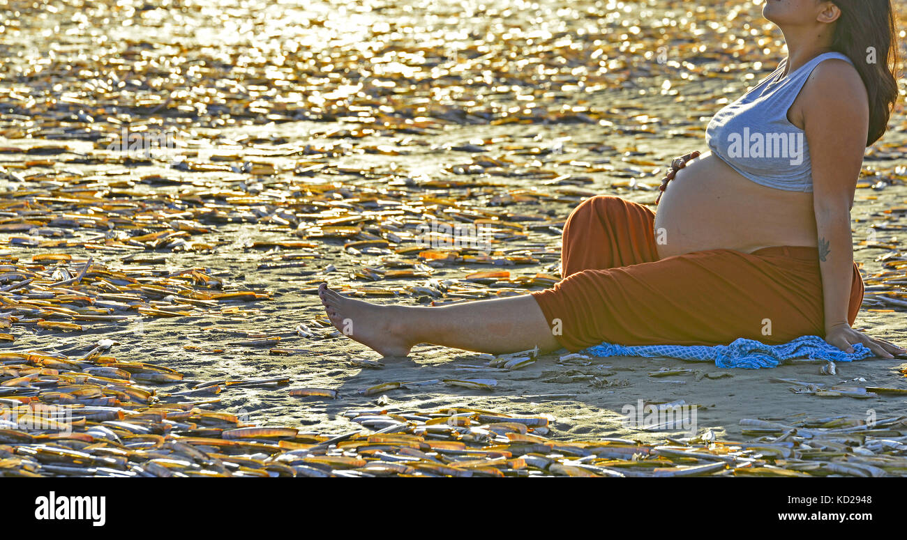 Pregnant woman sitting on the beach between razor clams Stock Photo Alamy