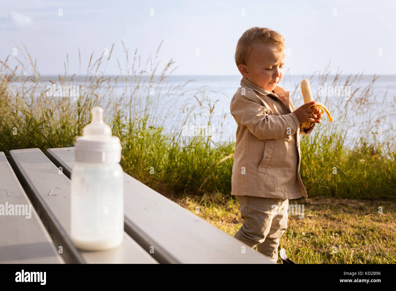 Baby boy (18-23 months) holding banana Stock Photo