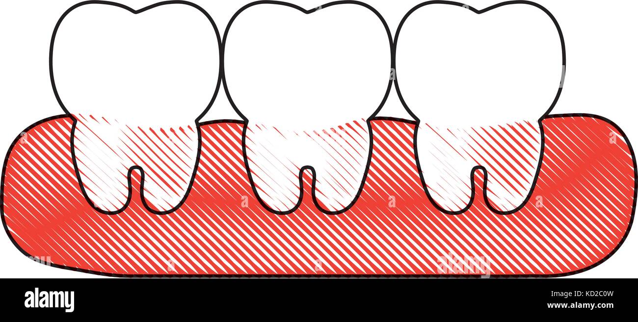 teeth icon over white background vector illustration Stock Vector Image