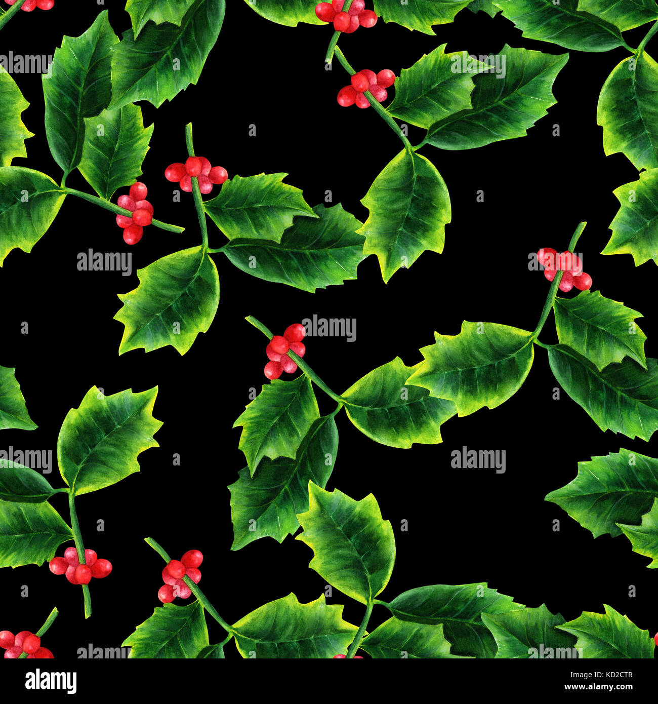 Seamless pattern with watercolor drawing of Christmas holly Stock Photo ...