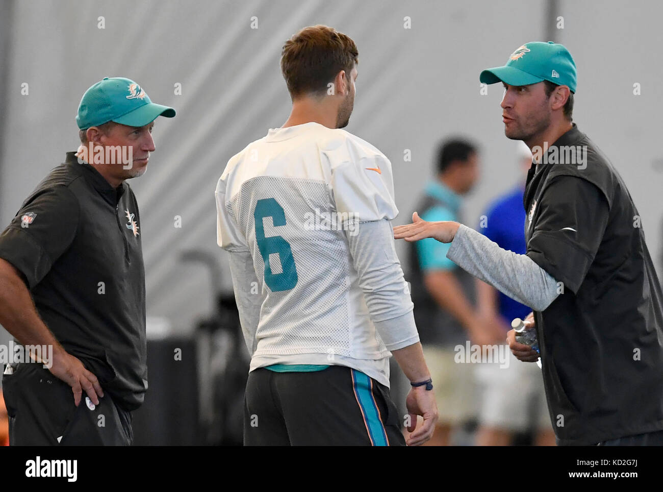 Miami Dolphins quarterback Jay Cutler (6) during the NFL football game  between the Miami Dolphins and the Carolina Panthers on Monday November 13,  2017 in Charlotte, NC. Jacob Kupferman/CSM13th November, 2017 Stock Photo -  Alamy