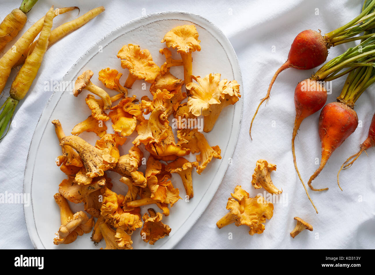 Wild chanterelle mushrooms, golden yellow beets and yellow carrots Stock Photo