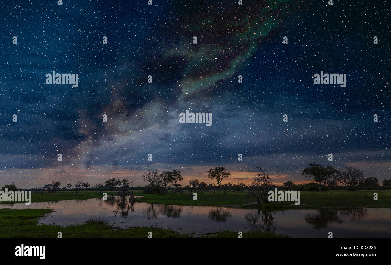 Starry night sky over swamp, Okavango Delta, Botswana, Limpopo, South Africa, Africa Stock Photo