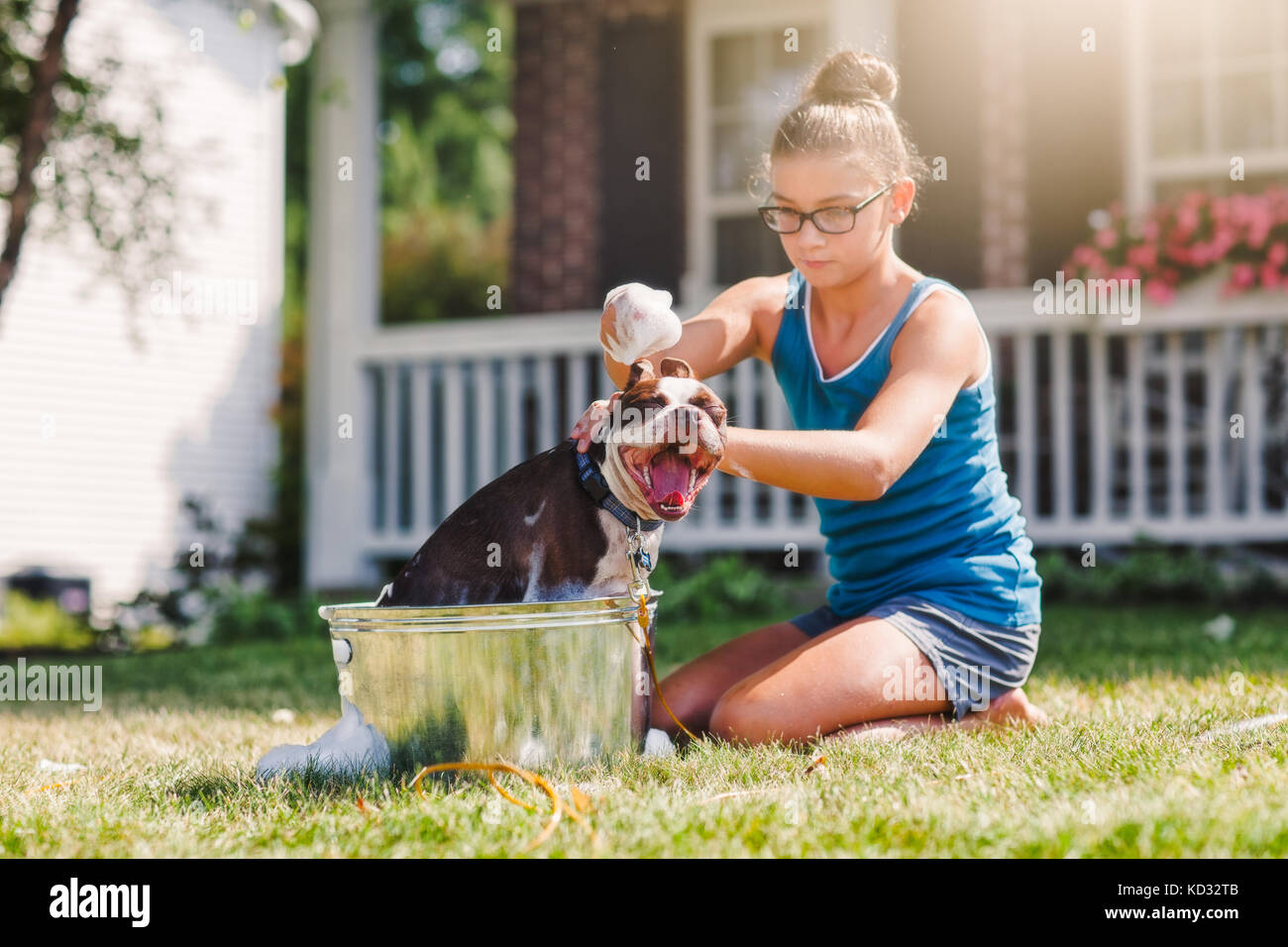 Girl washing dog in bucket Stock Photo