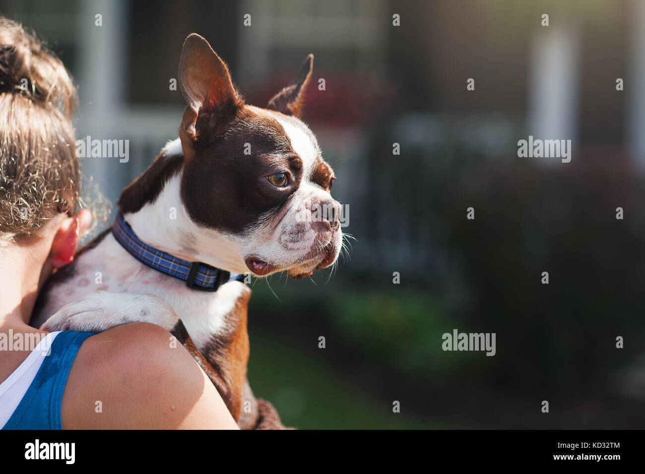 Shoulder girl hires stock photography and images Alamy