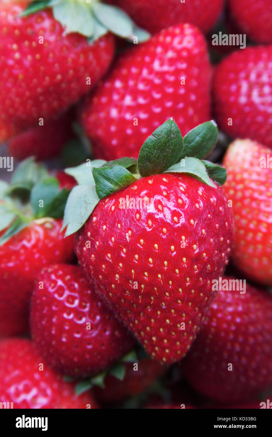 Strawberry Background Stock Photo
