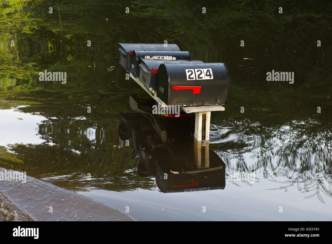 Flooding in Brown's Ferry near S.C., Oct. 10, 2015. The