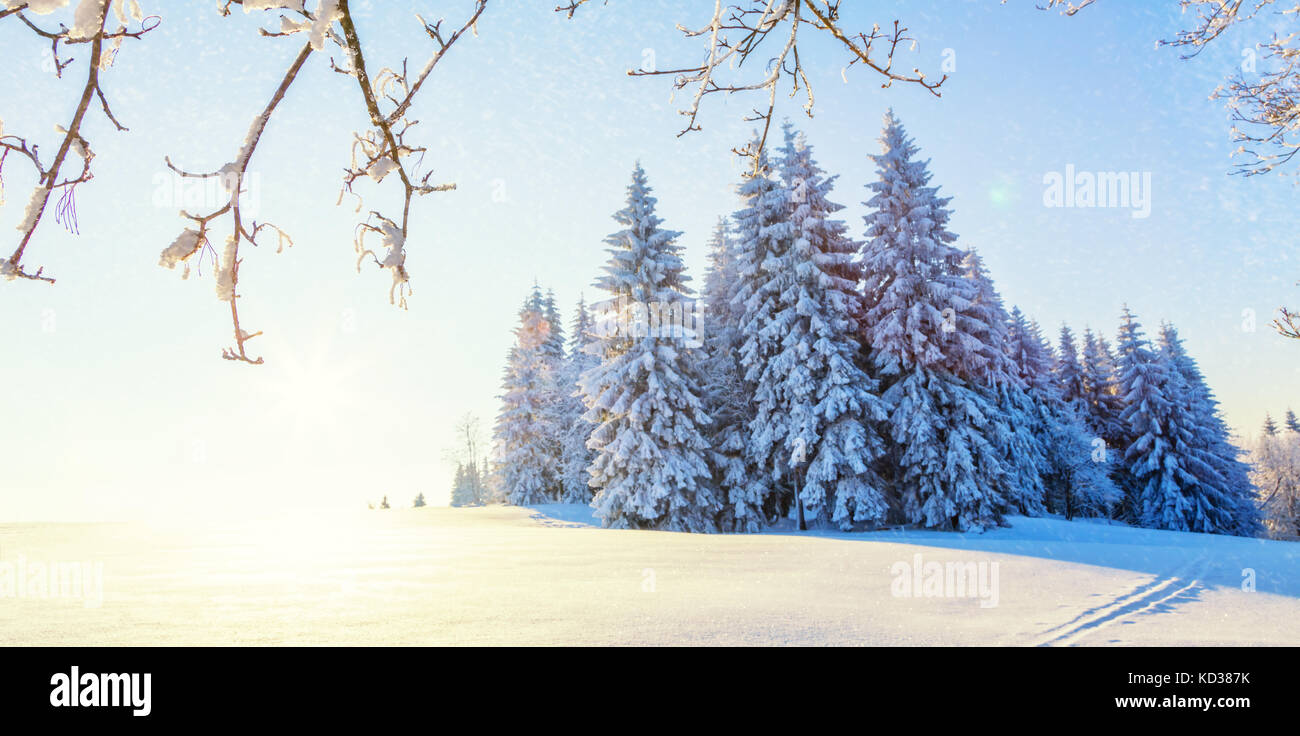 Beautiful snowy landscape panorama with forest on background. Fresh powder snow, winter nature Stock Photo