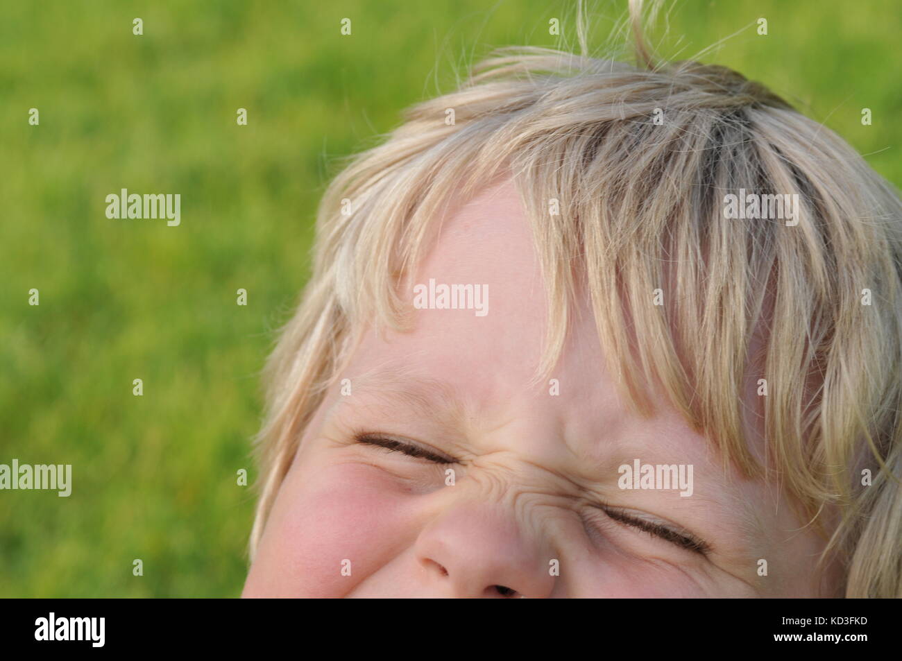 My Son's Glee One Summer Stock Photo