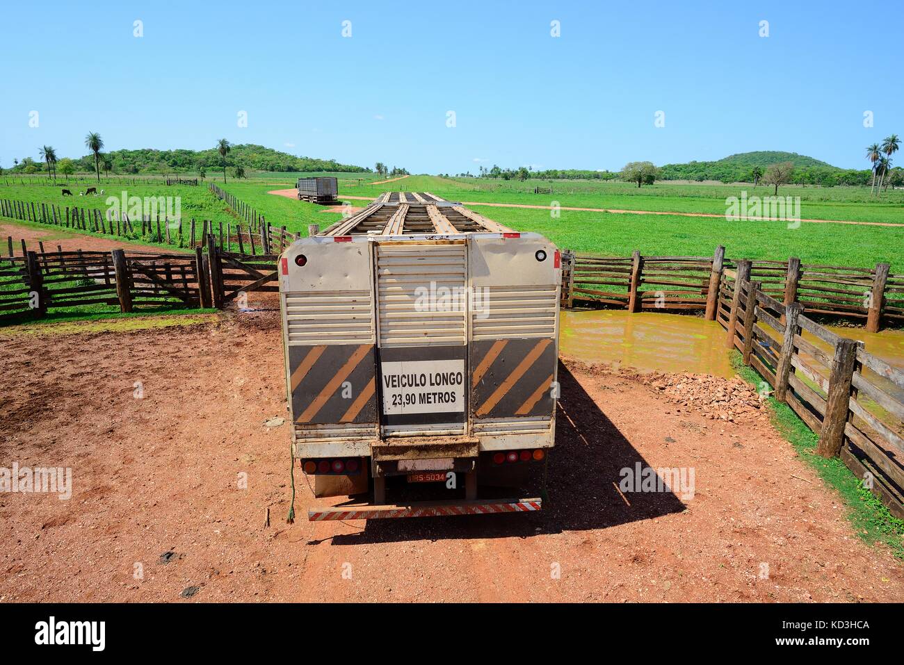 Cattle transport on the Fazenda Sao Geraldo, Bonito, Matto Grosso do Sul, Brazil Stock Photo