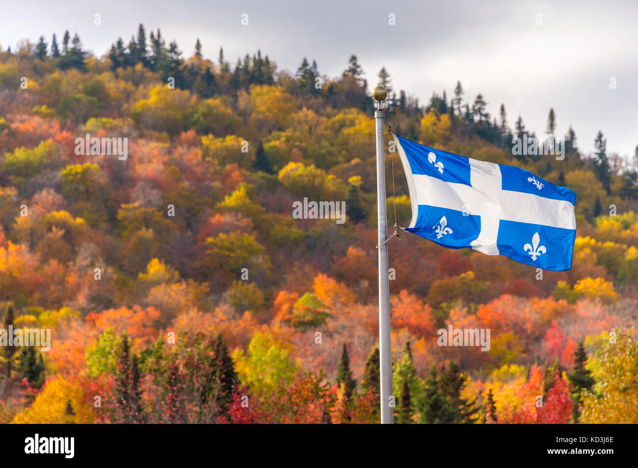 Quebec flag and fall colours Stock Photo
