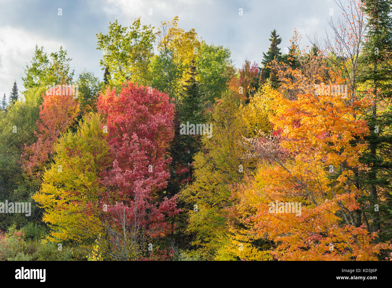 Fall colours in the Eastern Townships in Quebec, Canada. Stock Photo