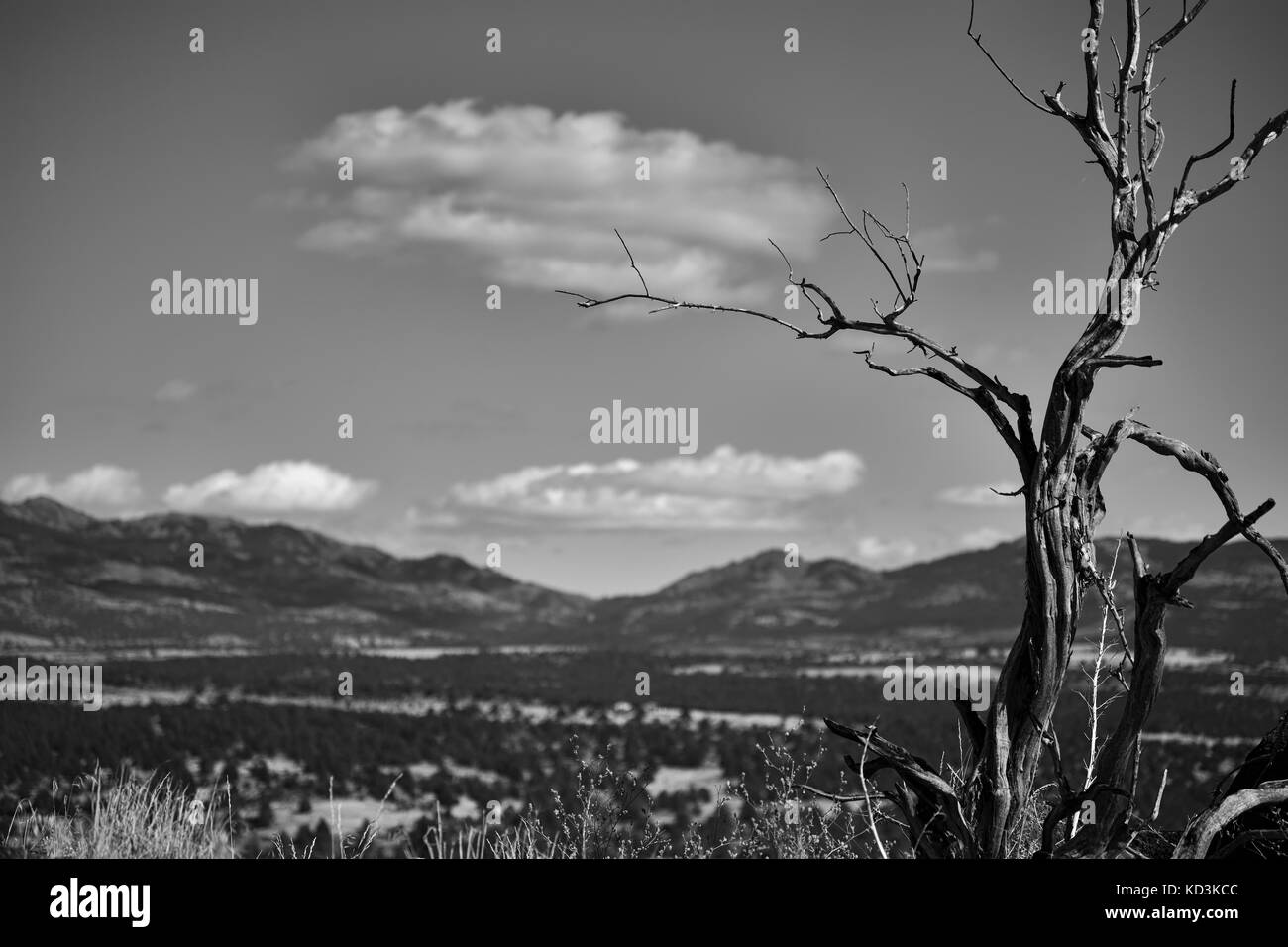 Looking out from atop Devils Garden towards the Warner Mountains in Modoc County, California, United States of America. Stock Photo