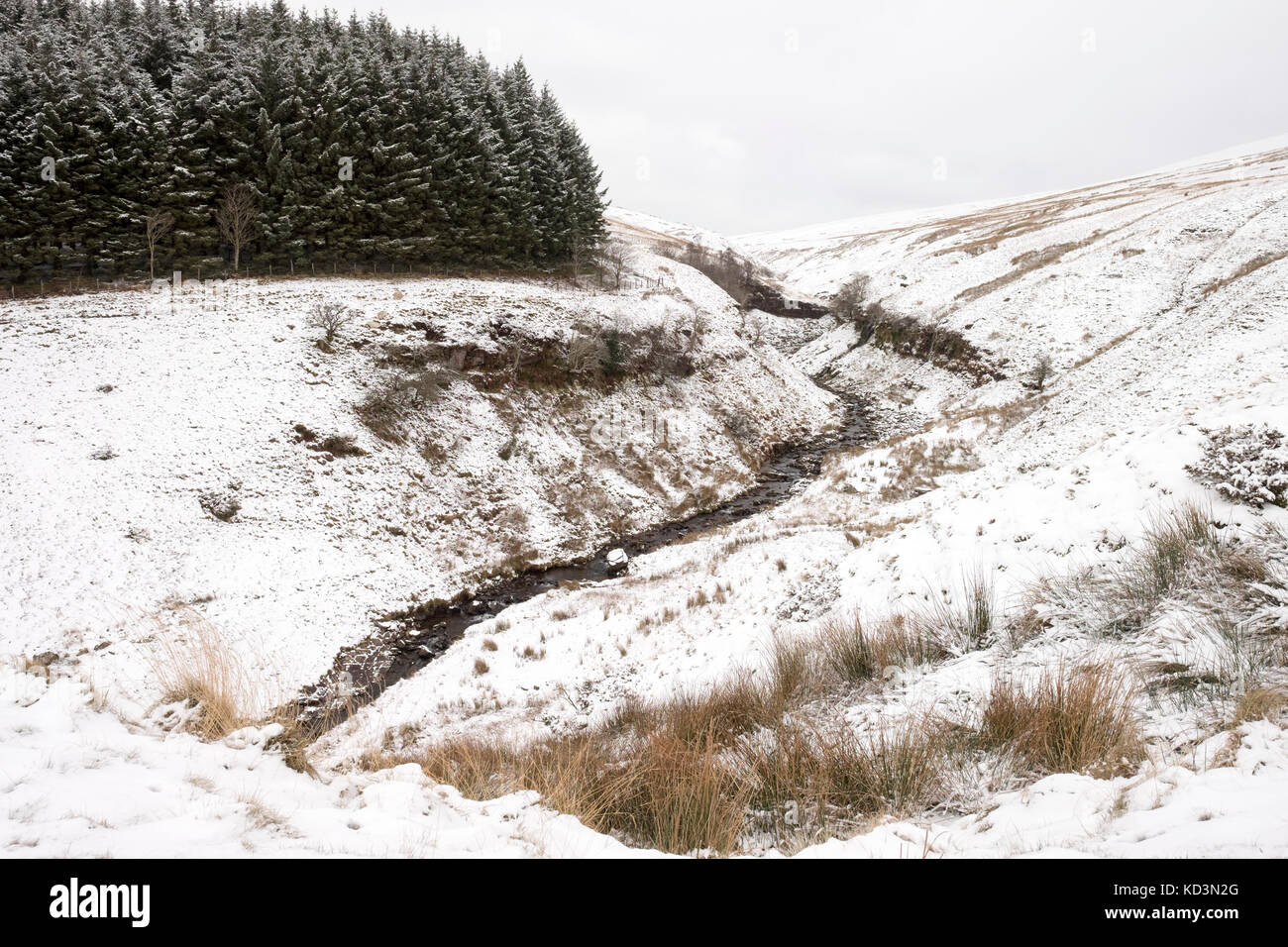 Snowy Pen Y Fan, and Breacon Beacons during heavy snow storm Stock Photo