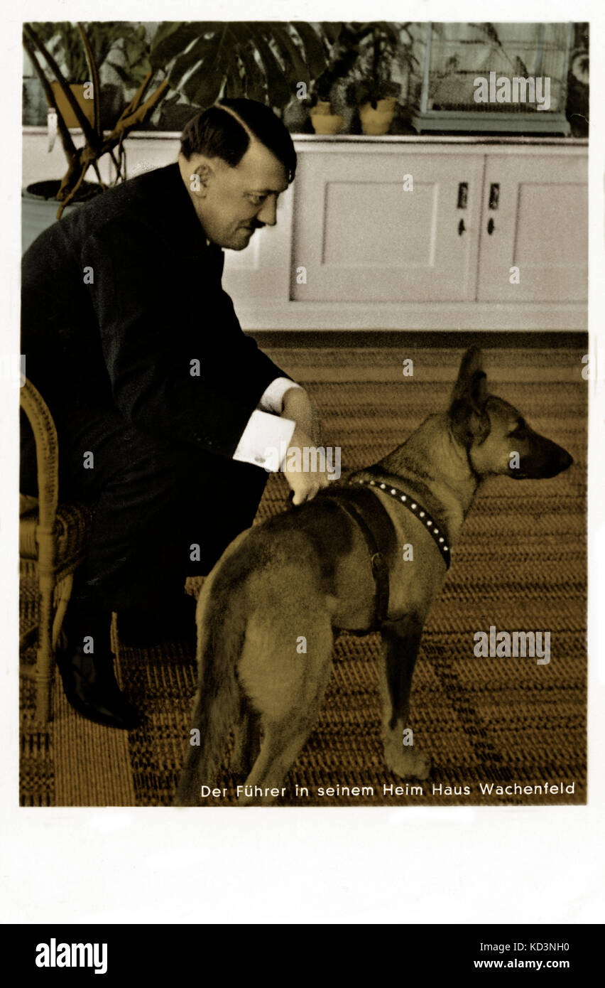 Adolf Hitler at home. Austrian-born German politician and the leader of the National Socialist German Workers Party:  20 April 1889 – 30 April 1945 (Chancellor of Germany from 1933 to 1945). Pictured with one of his dogs at Haus Wachenfeld. Stock Photo