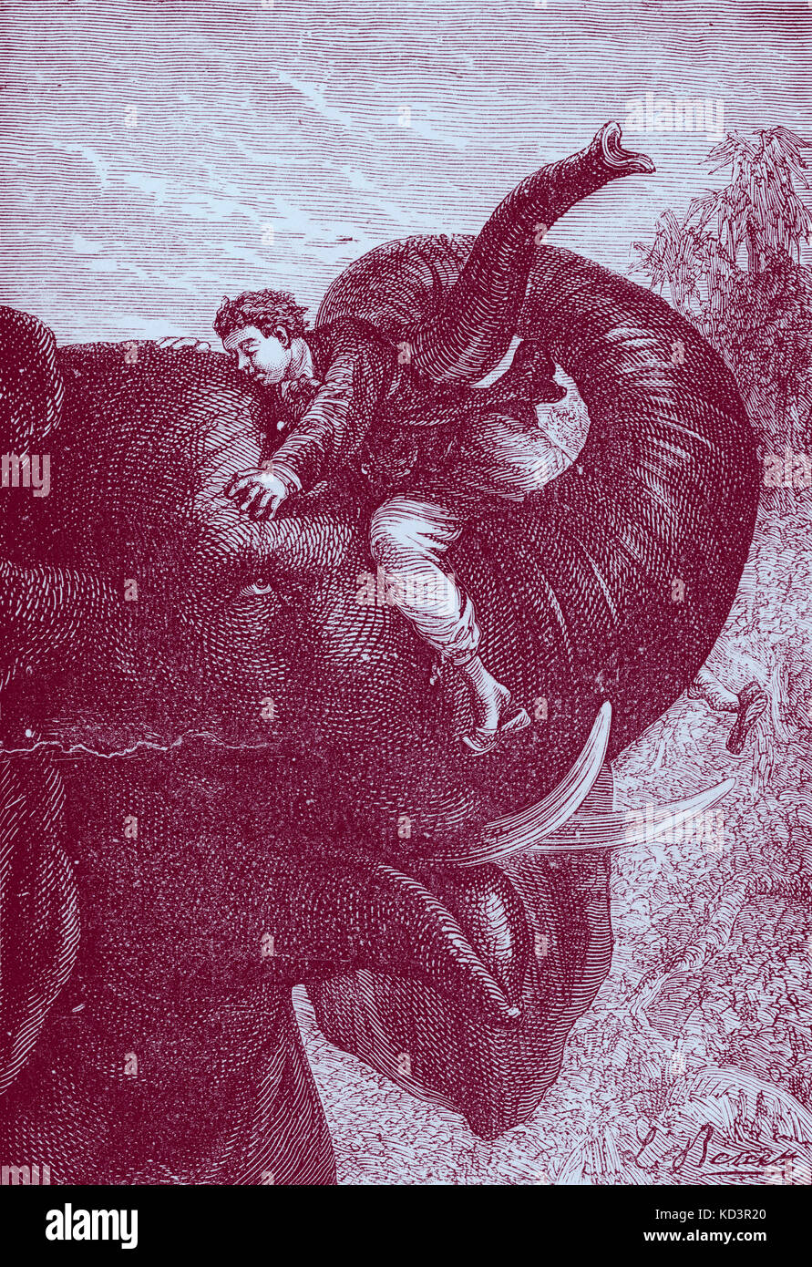 Around the World in Eighty Days / Le tour du monde en quatre-vingts jours by Jules Verne. First published 1873 (illustration from 1892 edition  by Leon Benett). Caption reads: 'Passepartout not at all frightened (elephant swings him up) '. Chapter 14 - In which Phileas Fogg descends the whole length of the beautiful valley of the Ganges without ever thinking of seeing it. '(In India) . JV French novelist 8 February 1828 – 24 March 1905.  (Phileas Fogg of London and his    French valet Passepartout attempt to circumnavigate the world in 80 days on a £20,000 wager  set by his friends at the Refo Stock Photo
