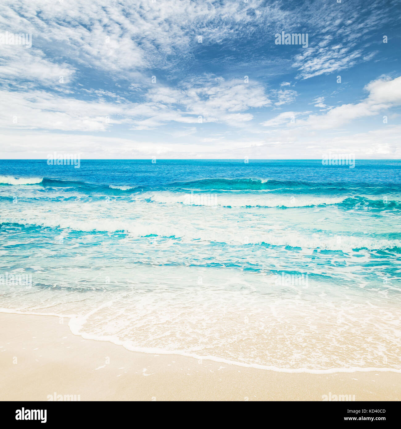 Tropical beach and ocean hi-res stock photography and images - Alamy