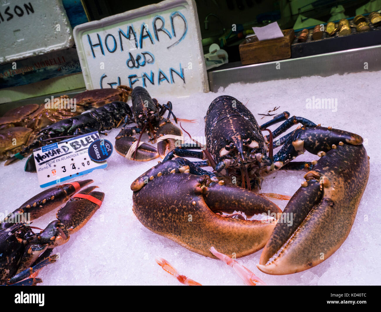 Blue lobster brittany france hires stock photography and images Alamy