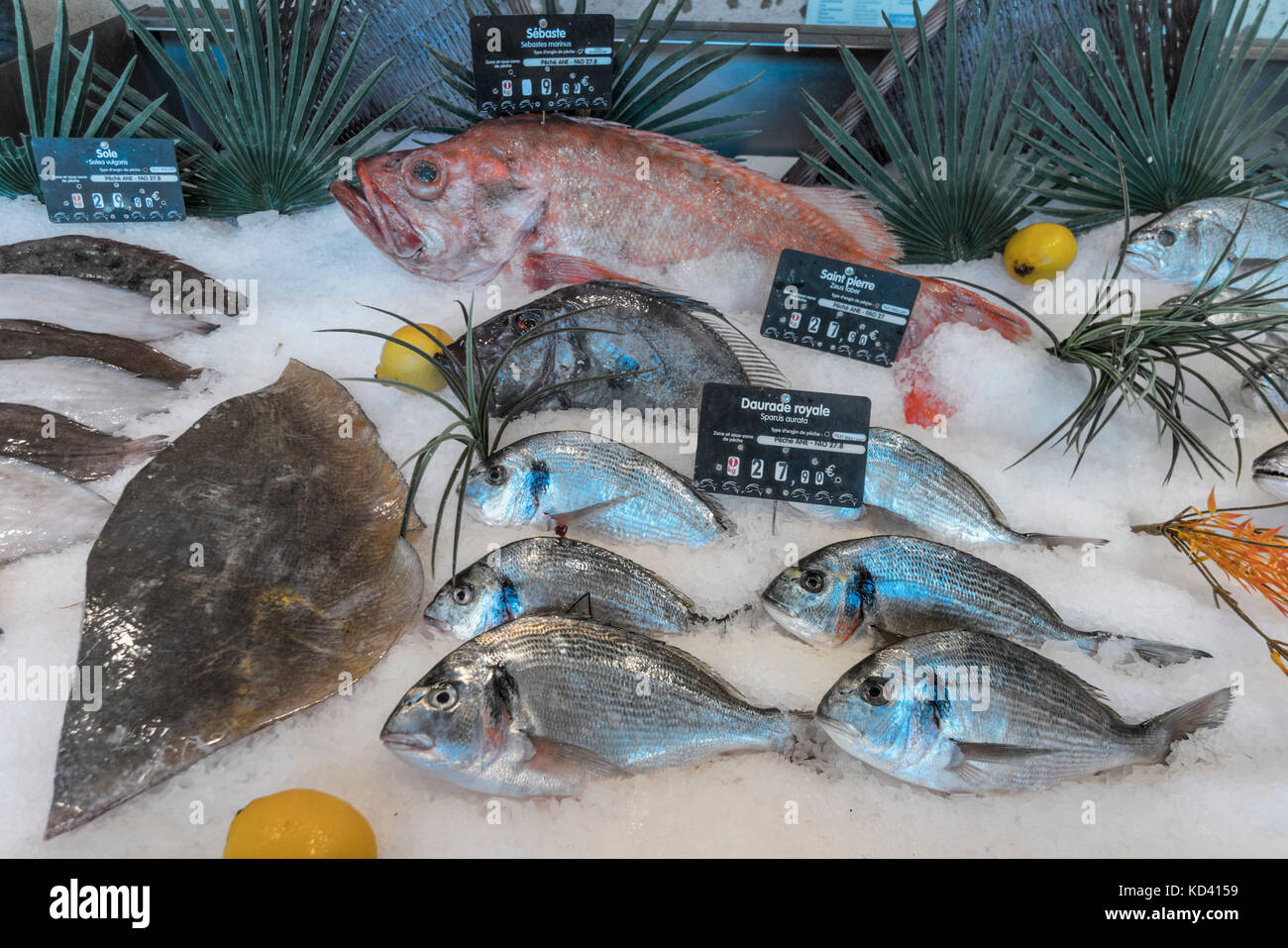 fish market, fruits de Mer, Ile de Re, Nouvelle-Aquitaine, french westcoast, france, Stock Photo