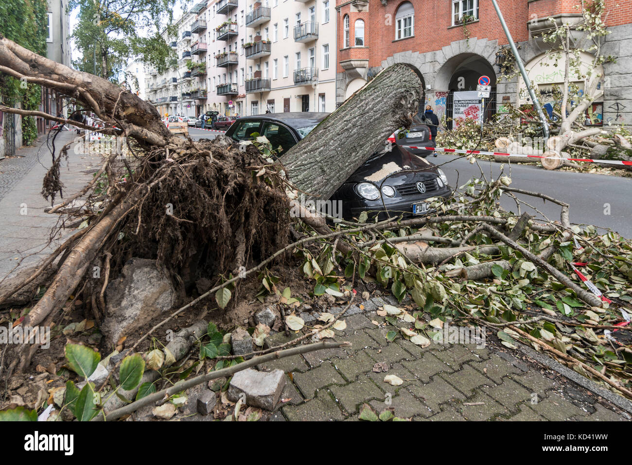 Storm Xavier, damage by falling tree | Sturmtief  Xavier wuetet ueber Deutschland am 5.10.2017 , umgestuerzter Baum , Neukoelln, Berlin Stock Photo