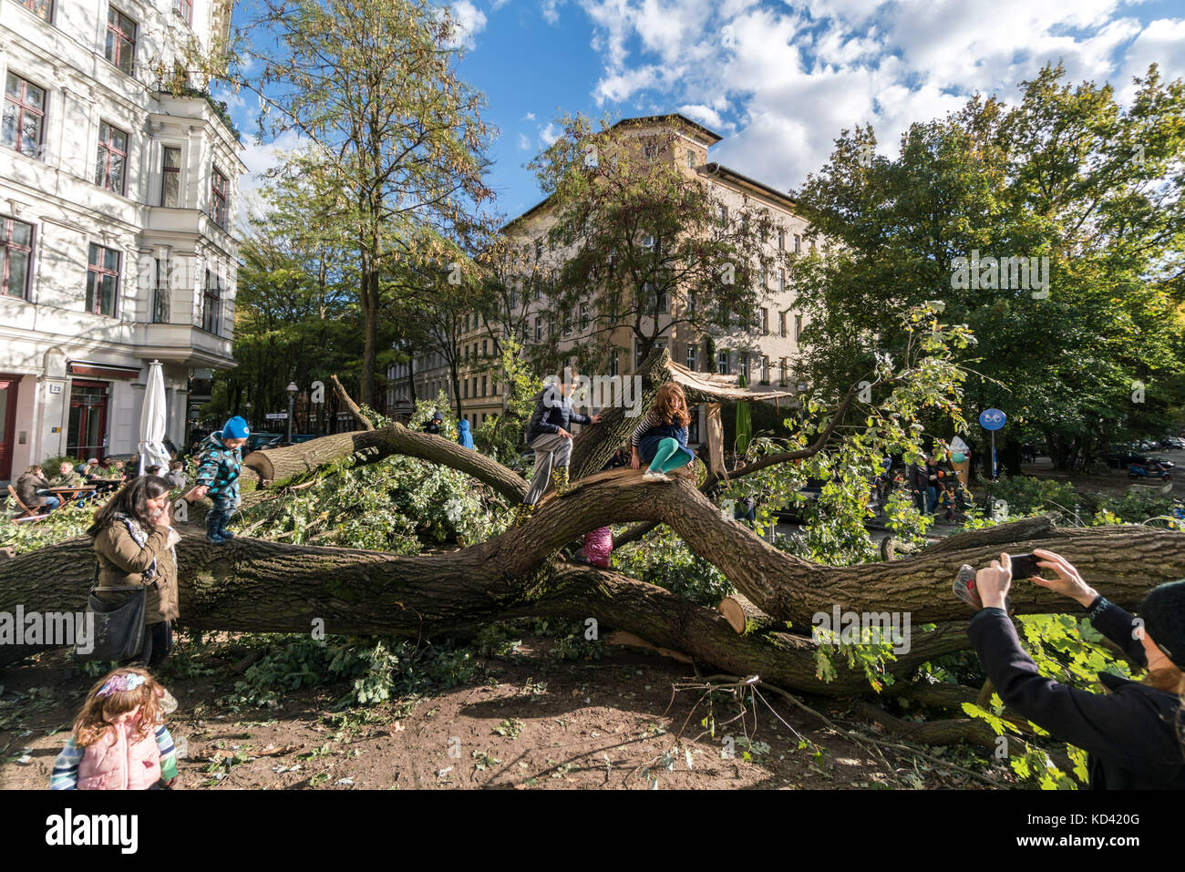 Storm Xavier, damage by falling tree | Sturmtief  Xavier wuetet ueber Deutschland am 5.10.2017 , Kinder kletterm auf umgestuerzter Baum ,  Kreuzberg,  Stock Photo