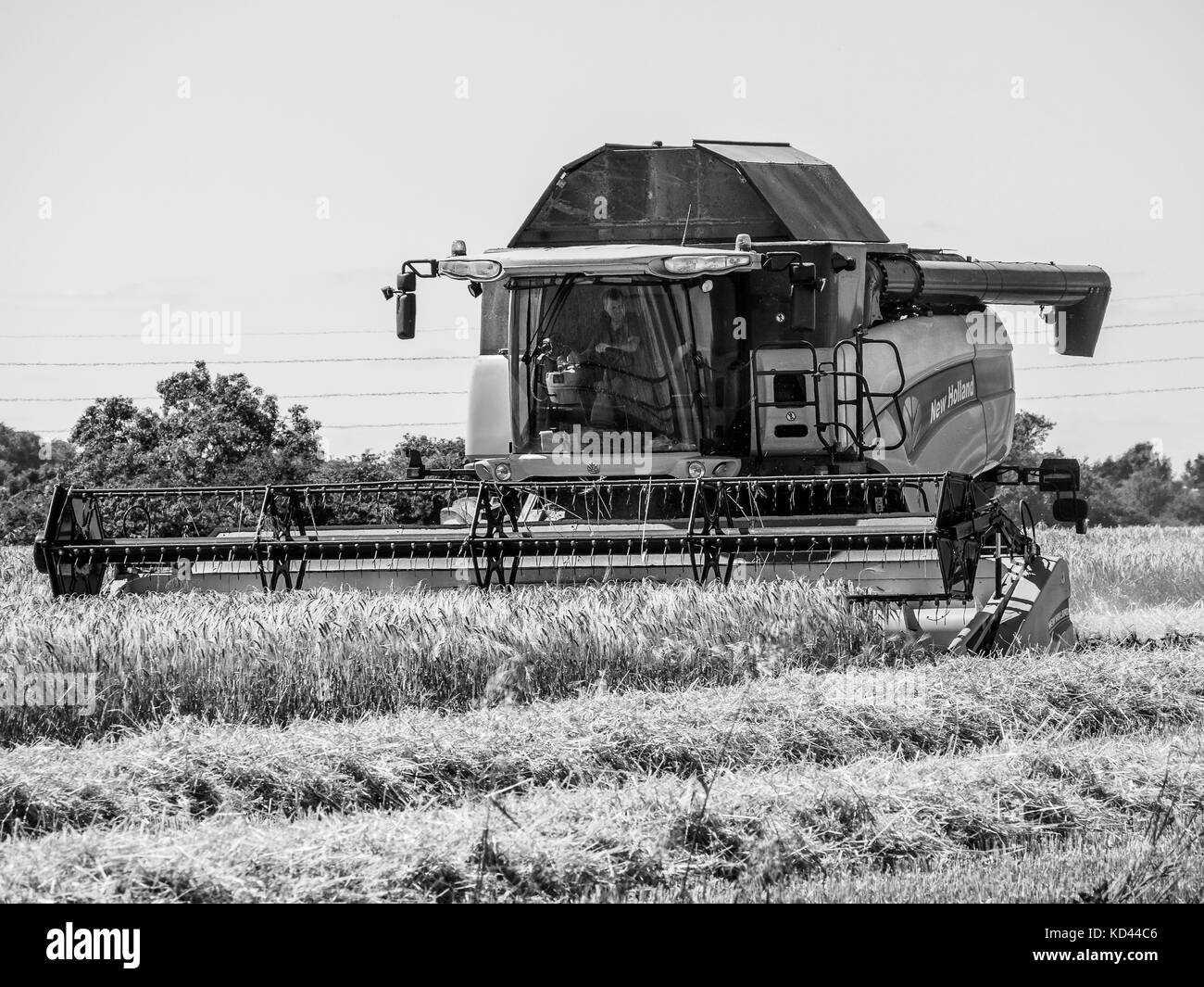 Combine harvester Black and White Stock Photos & Images Alamy
