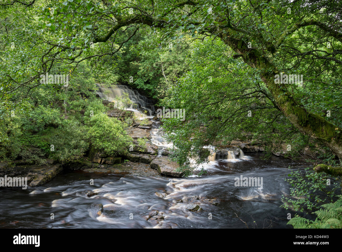 Eat Gill Force near Keld in Upper Swaledale, North Yorkshire, England. Stock Photo