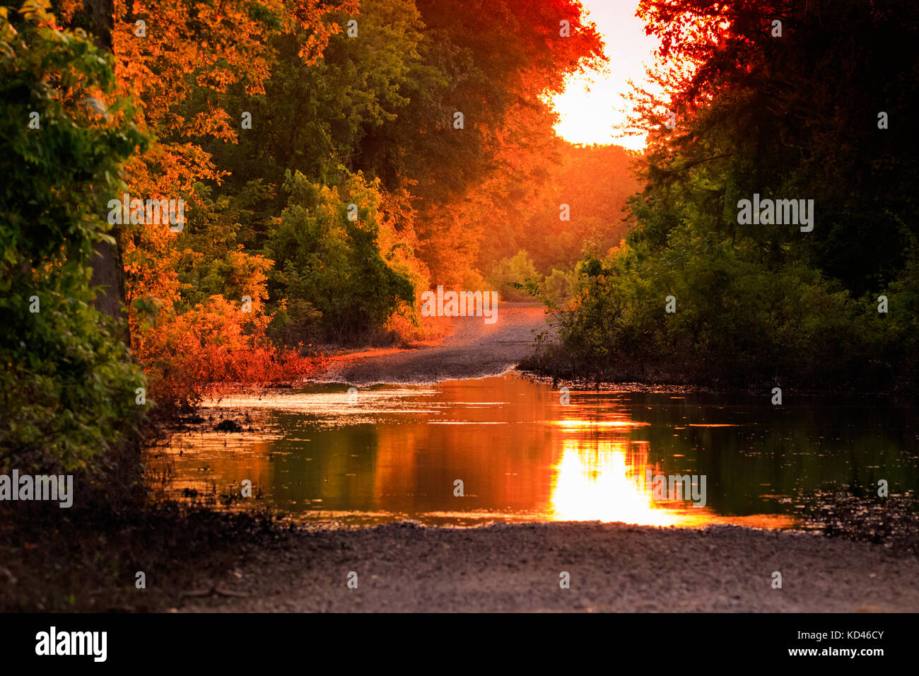 As the sun starts to drop on the receding flood waters of a back road