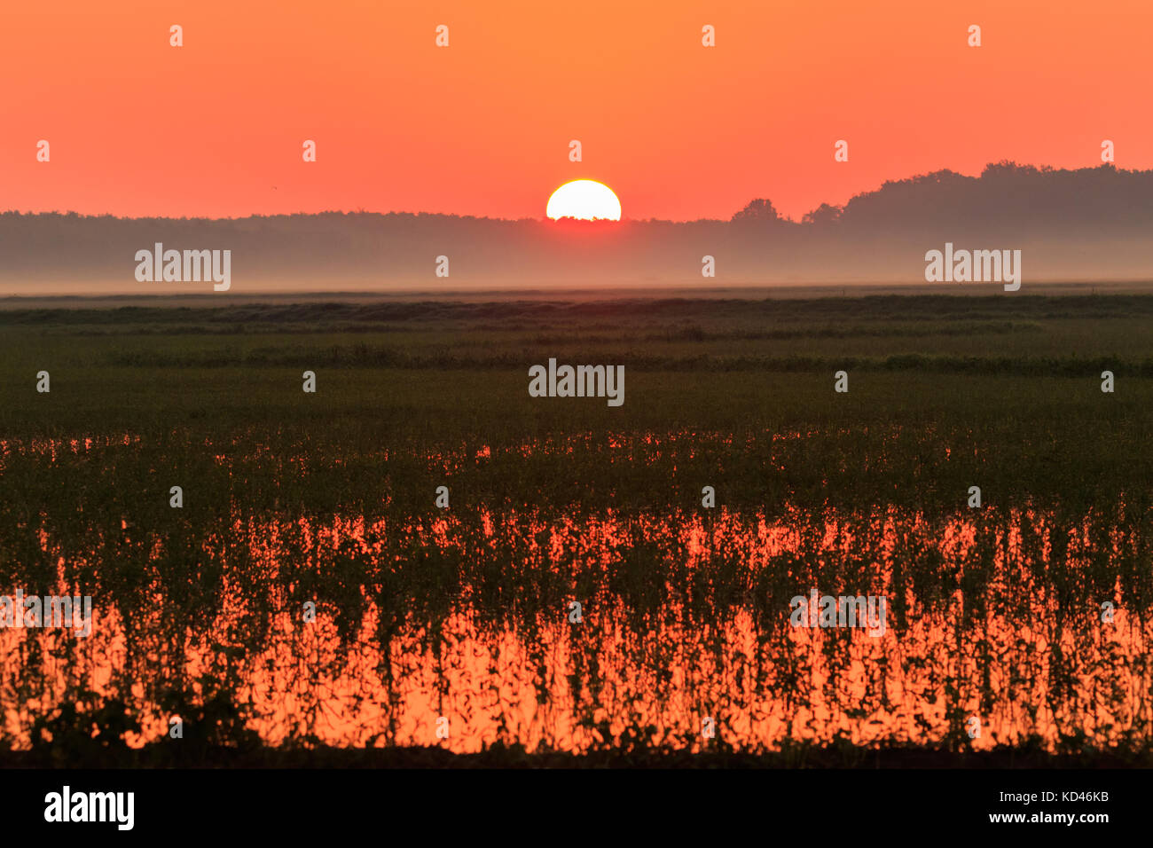 Bald knob wildlife refuge hires stock photography and images Alamy