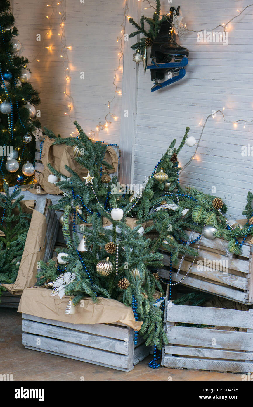 Unpacking of a christmas tree hi-res stock photography and images - Alamy