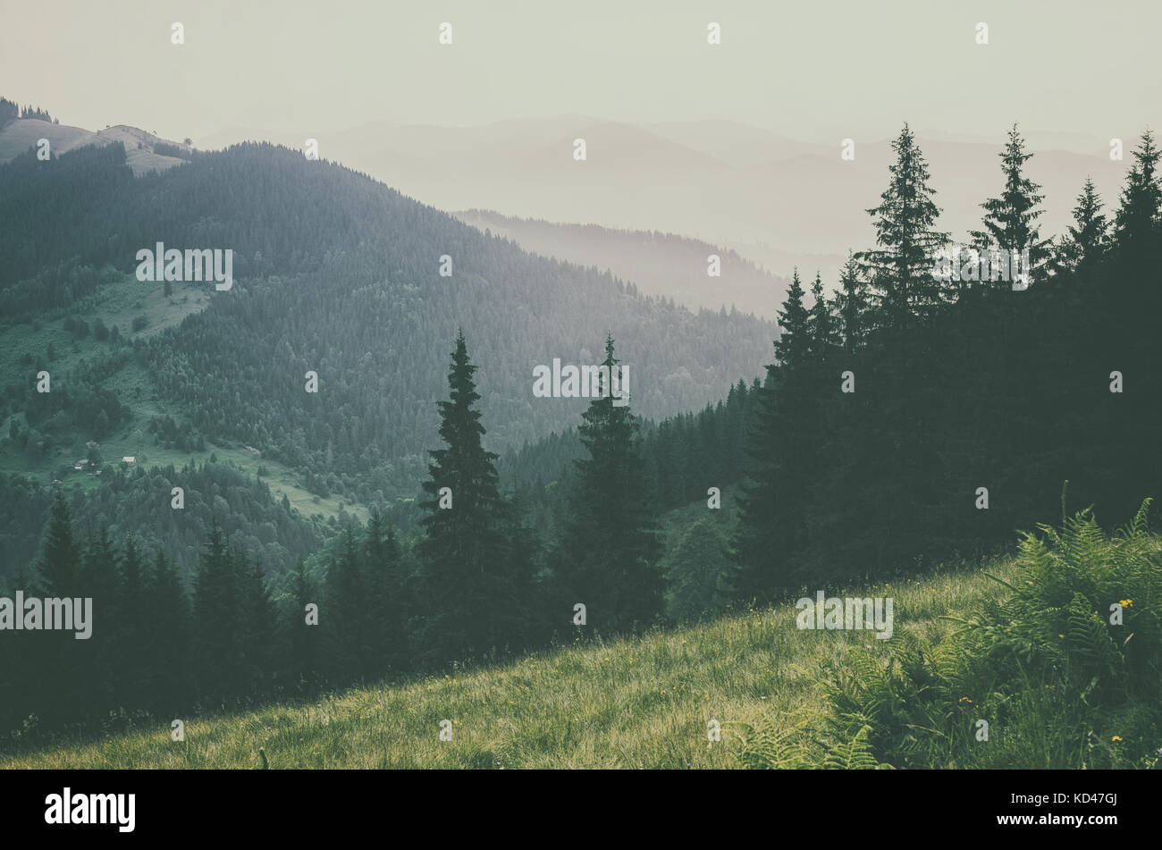 Misty mountain landscape Stock Photo - Alamy
