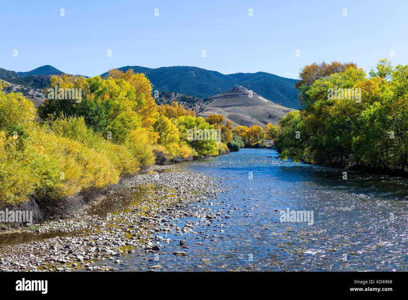 Fall foliage colors along the Arkansas RIver which runs through the downtown historic district of the small mountain town of Salida, Colorado, USA Stock Photo