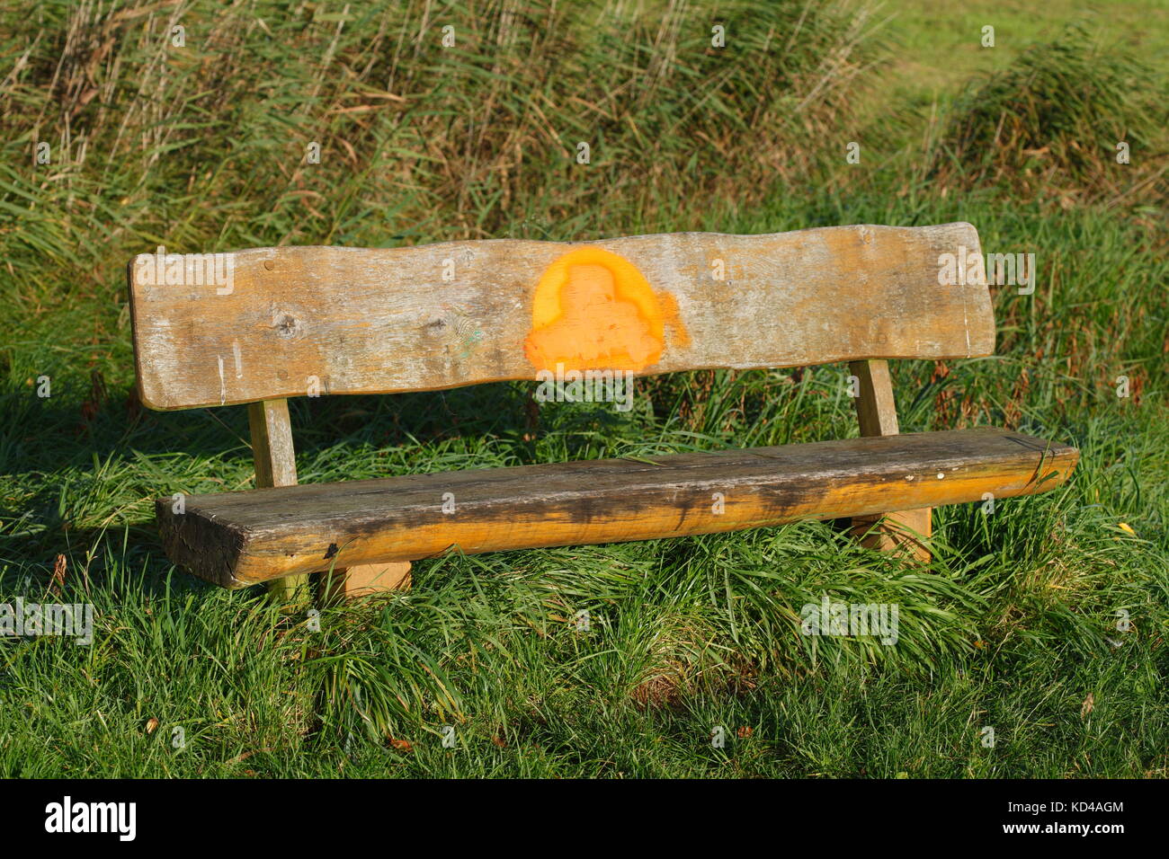 Wooden Seat Bench on a Meadow Stock Photo Alamy