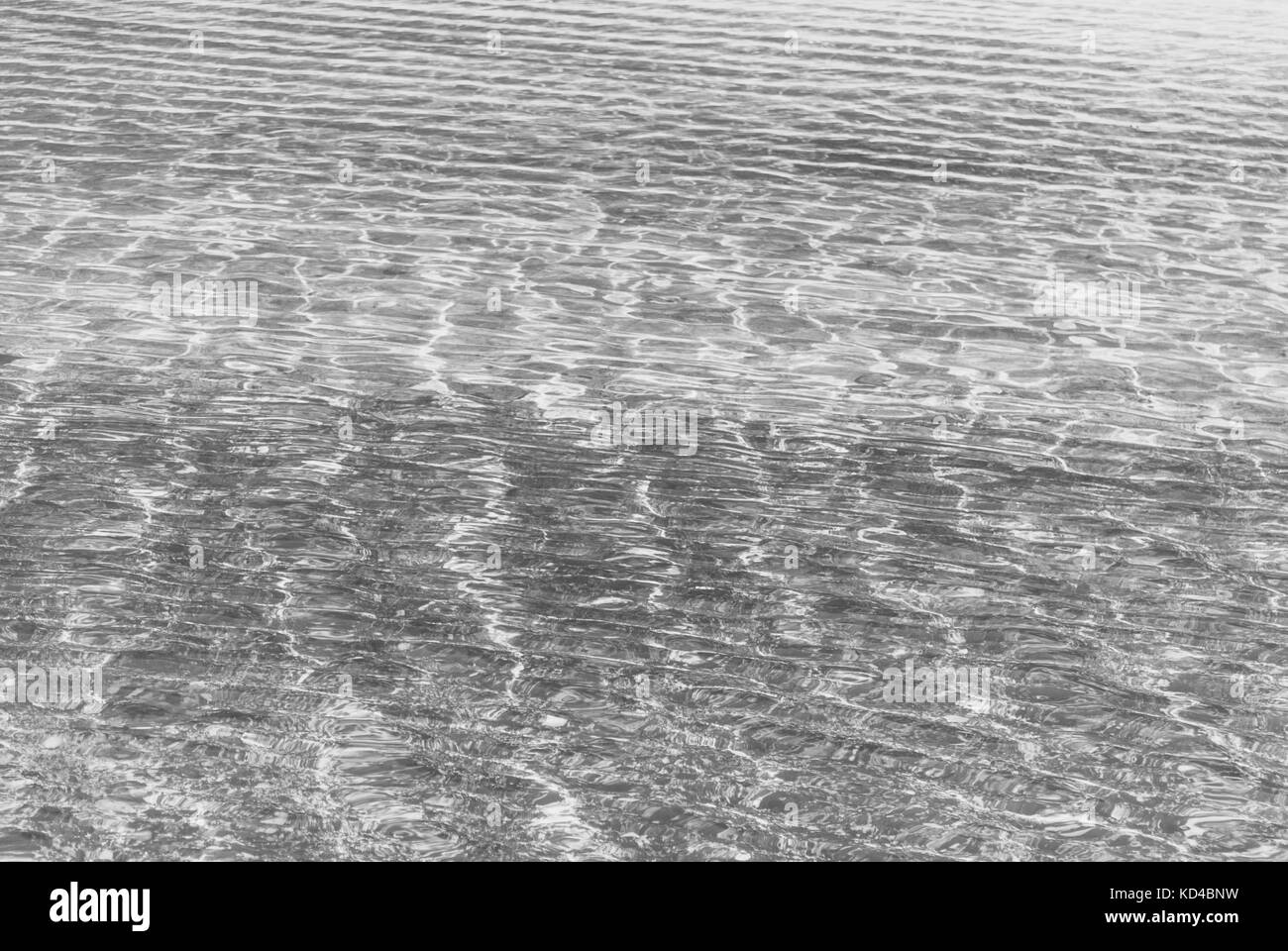 Refraction of light in clear water with small waves. Black and white photo Stock Photo