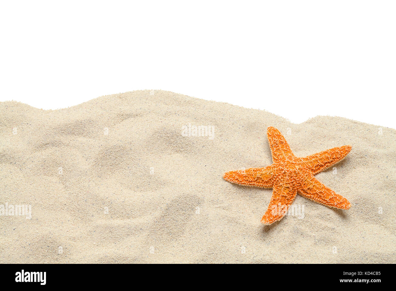 Beach Sand and Starfish with Copy Space Cut Out on White. Stock Photo