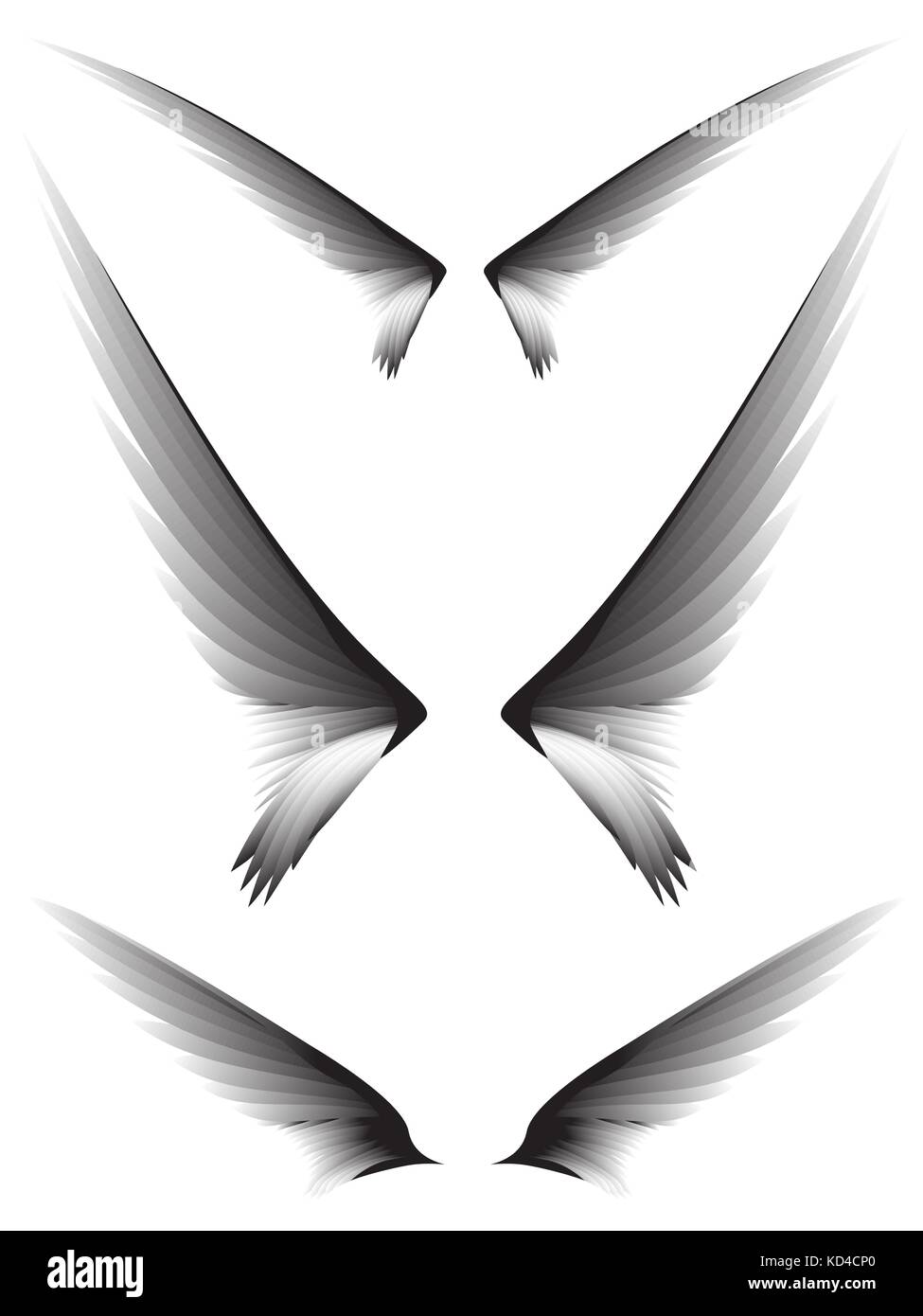 Set gray wings on white background, design element Stock Vector