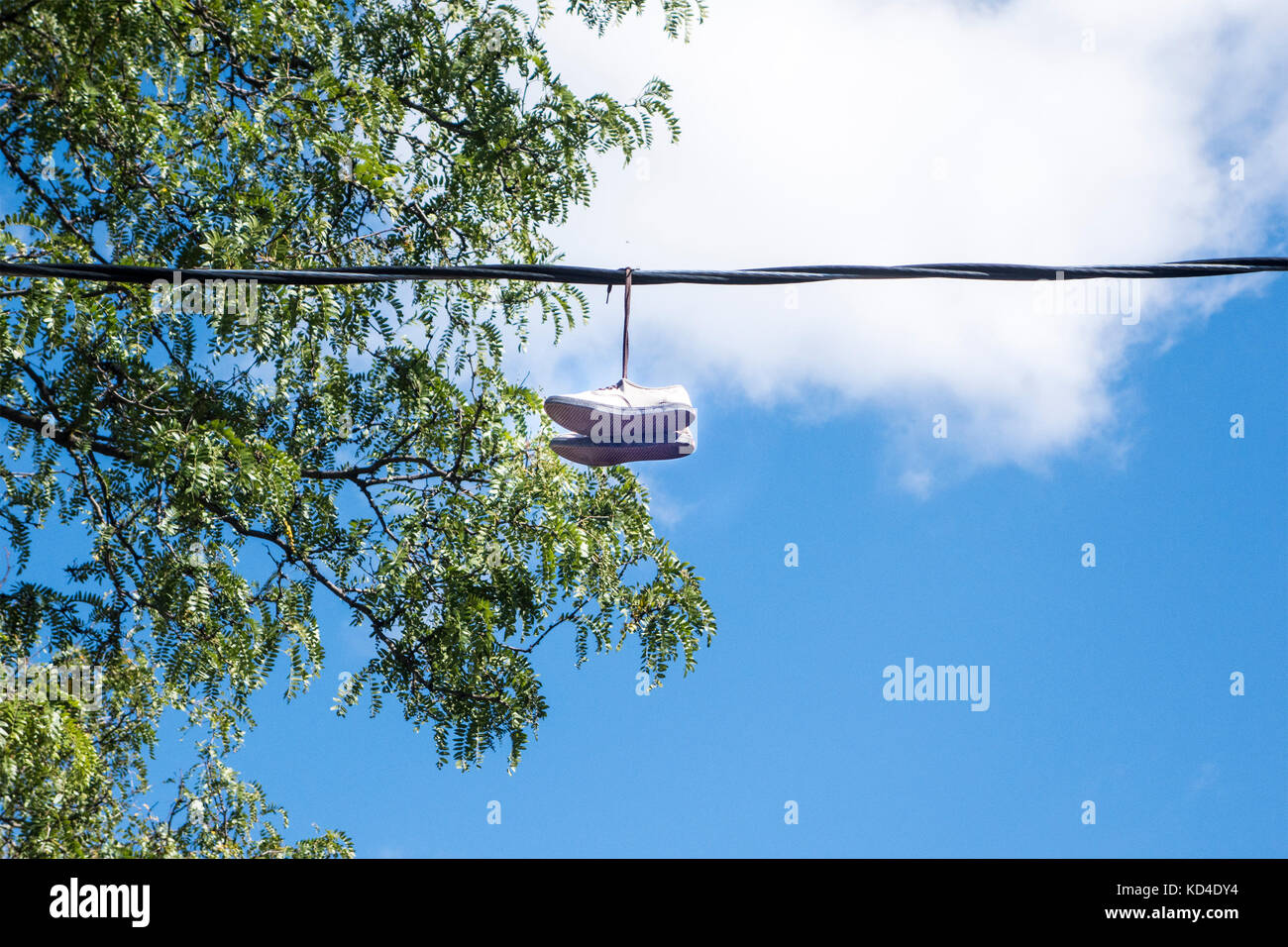 Running shoes hang over a telephone line in downtown Toronto Ontario Canada Stock Photo