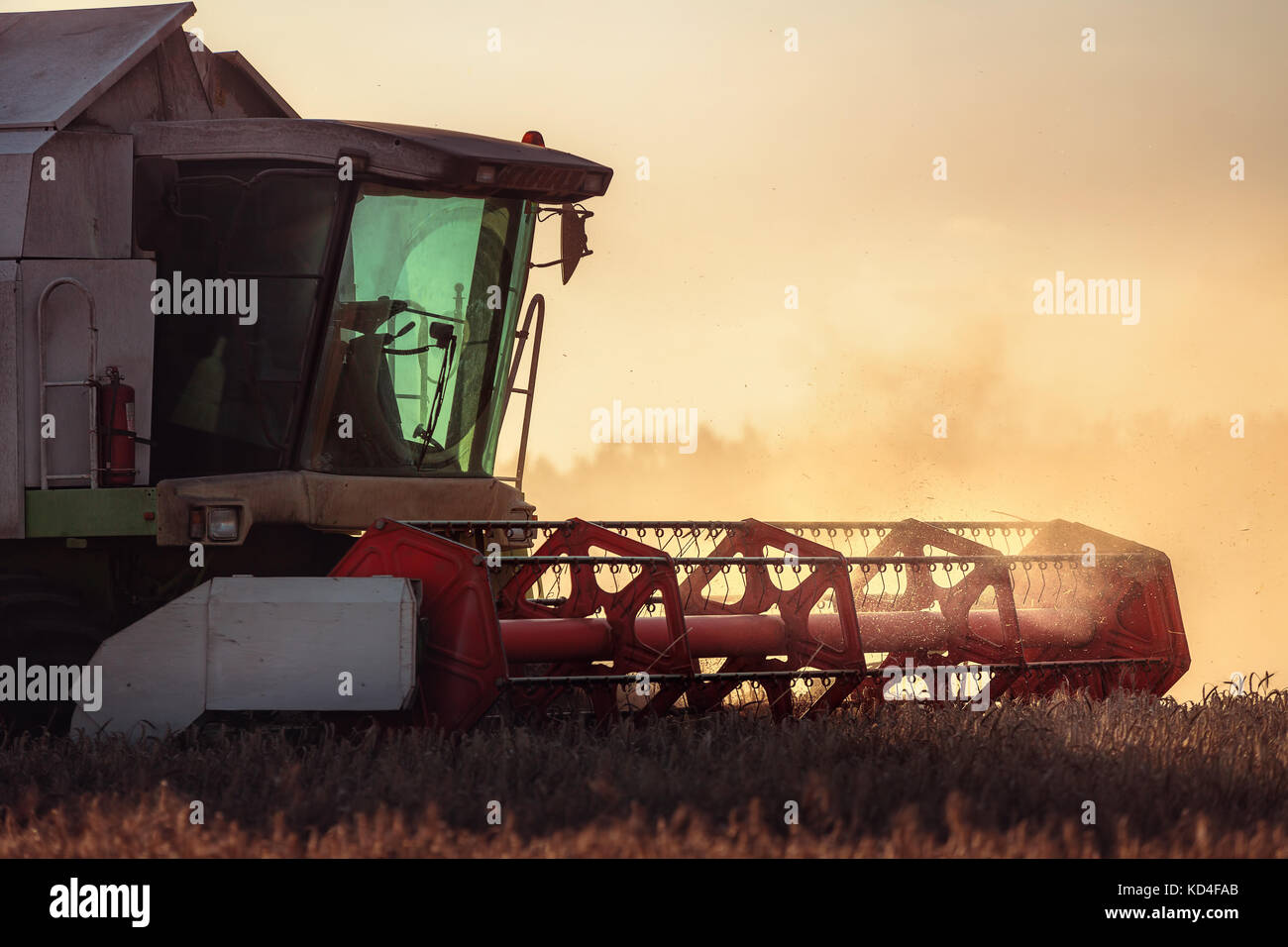Combine harvester agriculture machine harvesting golden ripe wheat