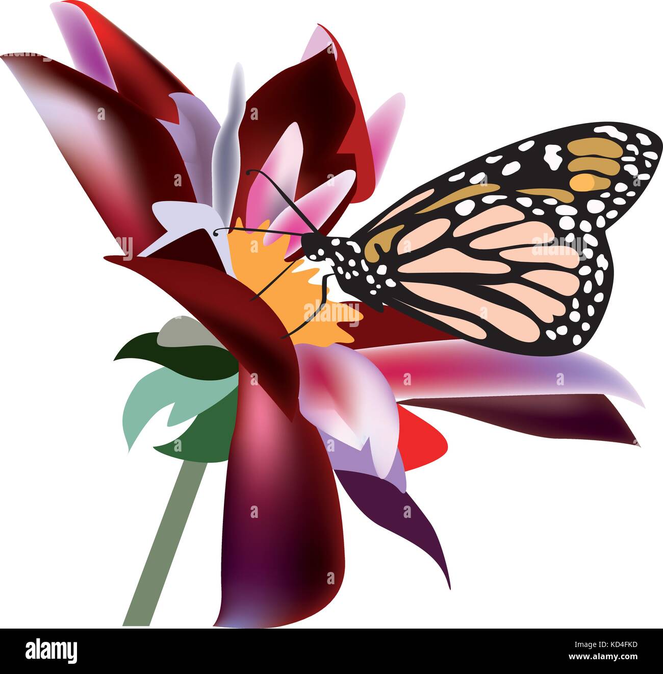 Bright butterfly on a flower, white background Stock Vector Image & Art ...
