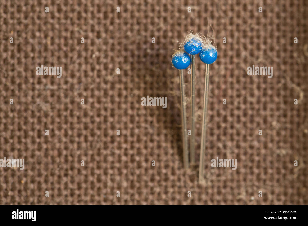 close up of needles and fixing pins Stock Photo - Alamy