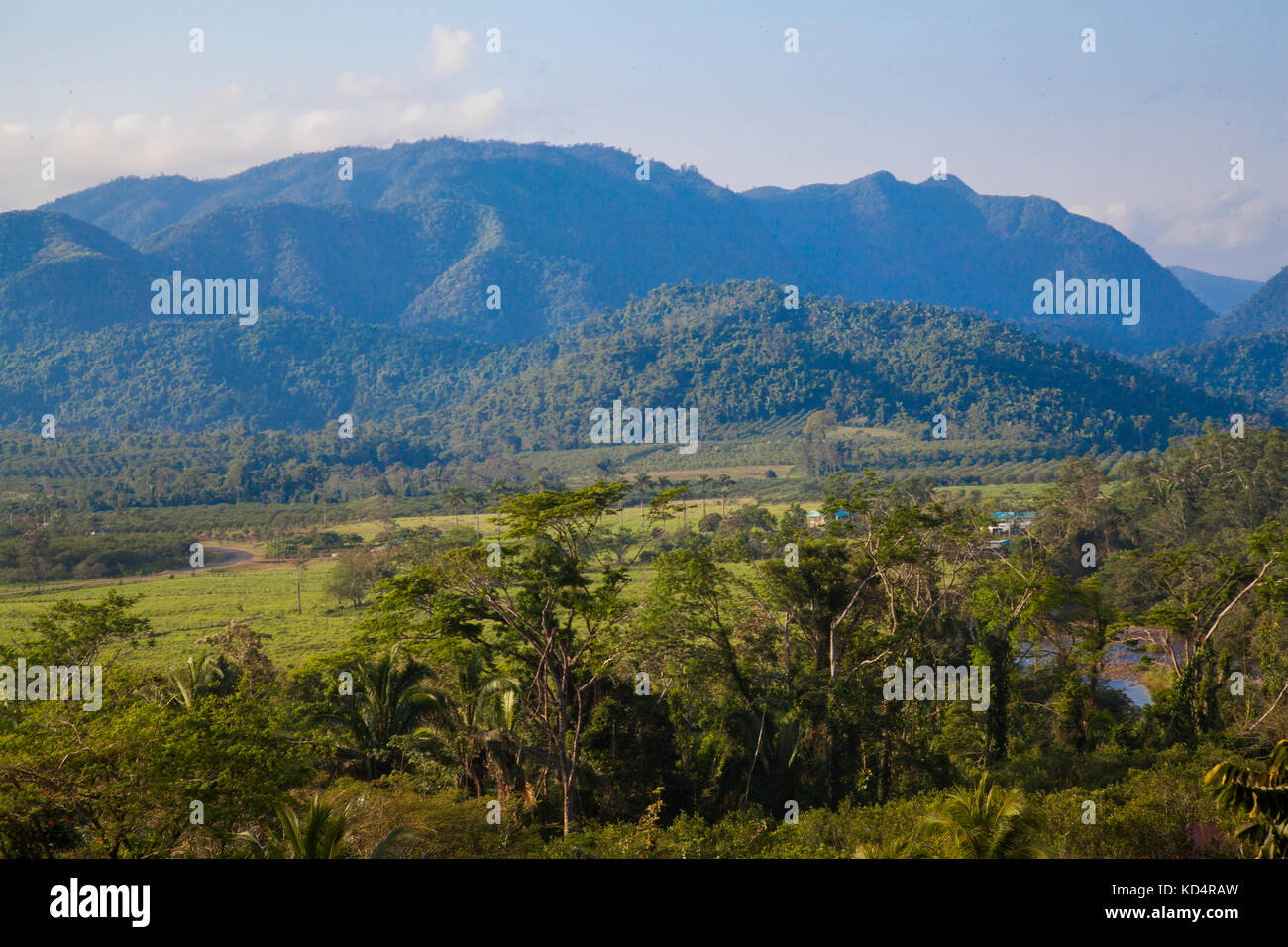 The Sleeping Giant Rainforest Belmopan Belize Stock Photo