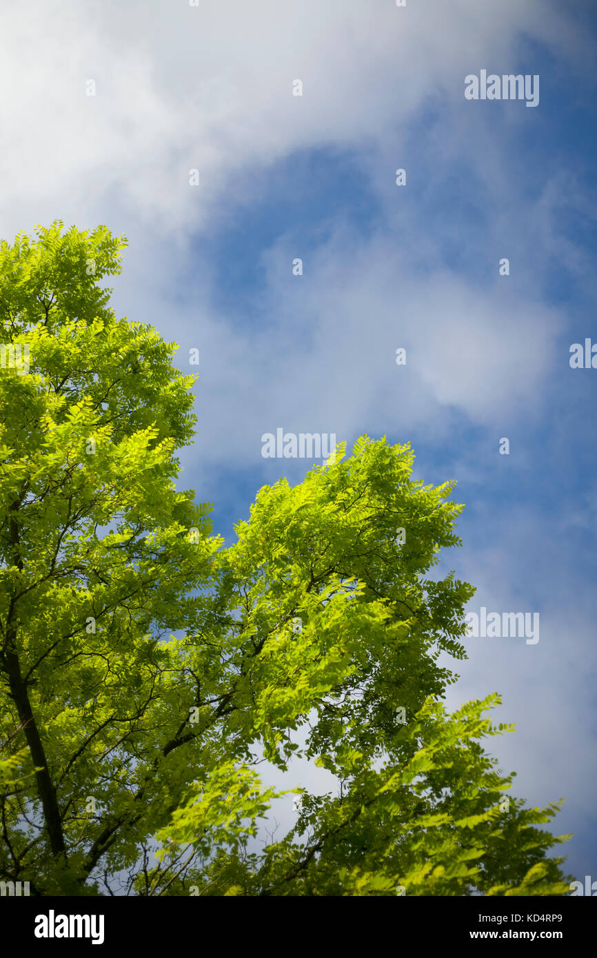 Constable clouds hires stock photography and images Alamy