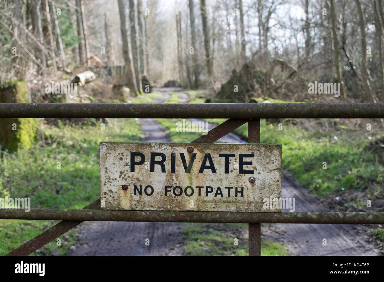 'Private No Footpath' sign on a gate in woodland Stock Photo