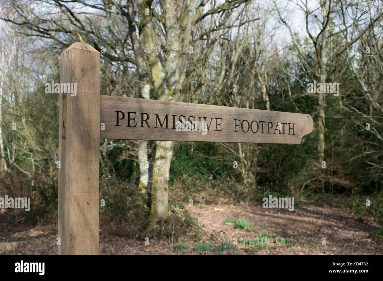 Permissive footpath sign in woodland Stock Photo
