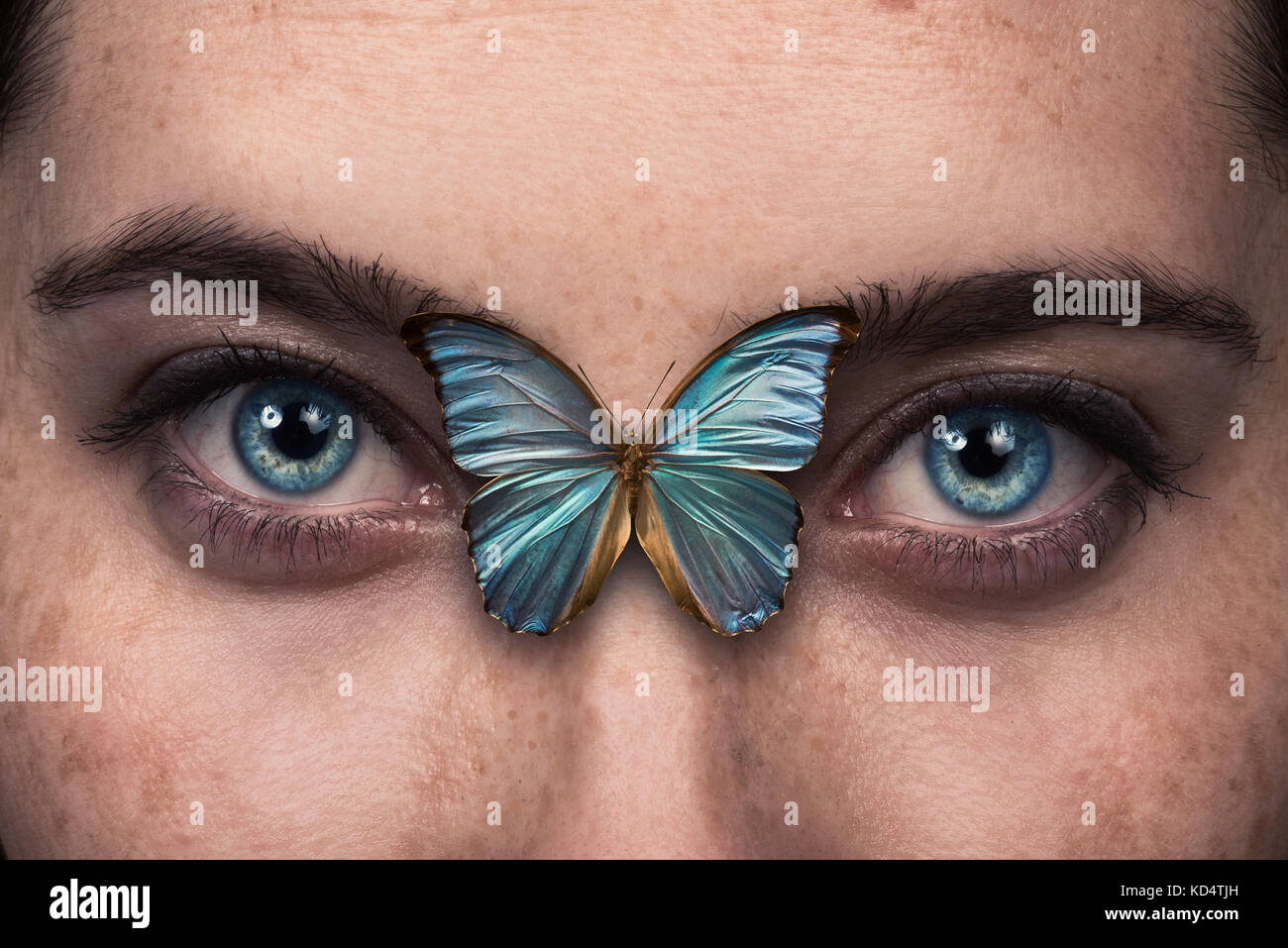 Beautiful woman eye wit butterfly wing Stock Photo