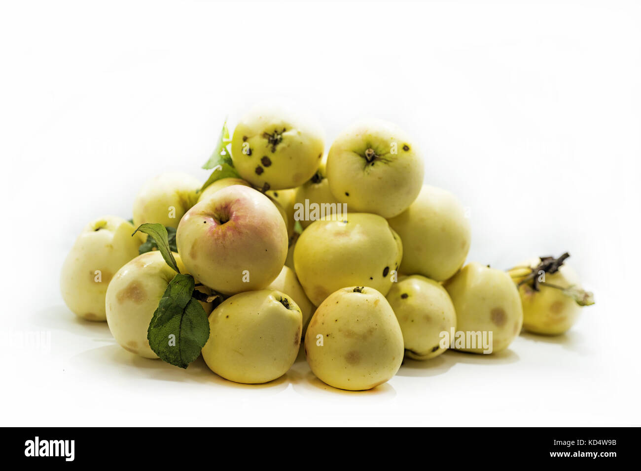 The first apples of Autumn. Pouring white apples composition Stock